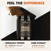 SOLVE Labs  Premium Siberian Chaga Mushrooom Capsules  10% Beta-D-Glucans  10:1 Concentrate  No Fillers & Additives  60 Capsules  1 Month Supply view 4