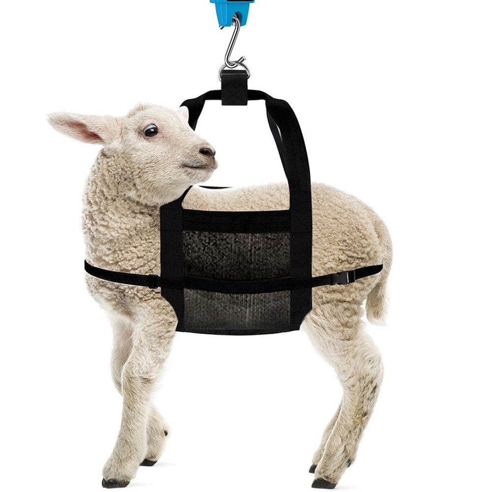 Small Animal Harness, Calf Harness for Animal Weighing, Heavy Duty Cattle Shoulder Bag with Adjustable Strap for Weighing Small Farm Animals