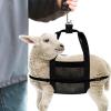 Small Animal Harness, Calf Harness for Animal Weighing, Heavy Duty Cattle Shoulder Bag with Adjustable Strap for Weighing Small Farm Animals view 2