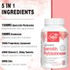 Liposomal Quercetin Phytosome 1600mg Per Serving, with Bromelain & Vitamin C, 20X Higher Absorption, 60 softgels (60 Count (Pack of 1)) view 2
