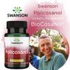 Swanson, Policosanol, 20mg, Extract from Sugar Cane, 60 Capsules, Laboratory Tested, High Dose, Gluten Free, Soy Free, GMO Free view 3