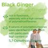 Swanson, Black Ginger Extract, 100mg, High Strength, 30 Vegan Capsules, Lab Tested, Vegetarian, Soy Free, Gluten Free, Non GMO view 4