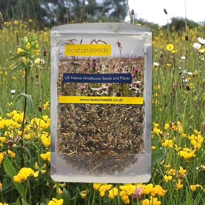 Wildflower Meadow Seeds for Dry, Sandy Loam Soil Types 80/20 (100 g)
