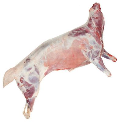 Halal Grass-Fed Whole Goat (30-40 kg) - Freshly Frozen