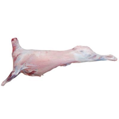 Halal Grass-Fed Freshly Frozen Whole Sheep ~30-35kg | Premium Halal Lamb/Sheep | Perfect for Roasting, BBQ, Large Gatherings & Special Occasions