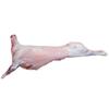 Halal Grass-Fed Freshly Frozen Whole Sheep ~30-35kg | Premium Halal Lamb/Sheep | Perfect for Roasting, BBQ, Large Gatherings & Special Occasions view 1
