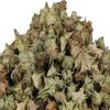 Ashwagandha Safed Musli Gorkhu Kaunch Beej Pack of 4 100 g Each view 4