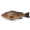 Whole Grouper 500-750gr x 2 unit view 1