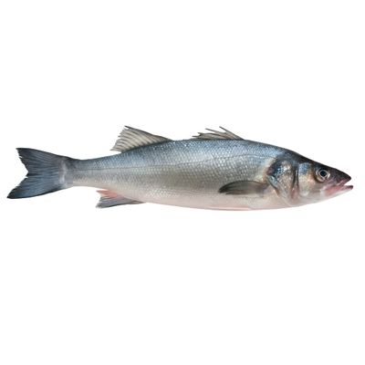 Fresh Whiting 1kg x 2 Packs  Premium Whole Whiting, Wild-Caught, Mild Flavour & Tender White Flesh, Ideal for Frying, Baking & Grilling