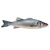 Fresh Whiting 1kg x 2 Packs  Premium Whole Whiting, Wild-Caught, Mild Flavour & Tender White Flesh, Ideal for Frying, Baking & Grilling view 1