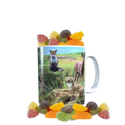 British Countryside Wildlife Animals Mug with Choice of Sweets Gift