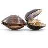 American Hardshell | Cherrystone Clams 2kg view 1