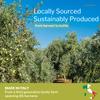 100% Italian Organic Olive Oil Extra Virgin | High Polyphenols Cold Pressed & Early Harvest from Tuscany | Extra Virgin Olive Oil (0. 5l) view 3