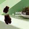 2 Pack Vitamatic Irish Sea Moss Gummies - 3000 mg - 60 Vegan Gummies - Made with Bladderwrack & Burdock Root - Seamoss Supplement for Thyroid, Energy, Immune Support view 3