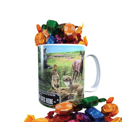 British Countryside Wildlife Animals Personalised Mug with a Choice of Sweets Gift