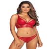 Axami Sexy Ladies Thong Embroidered V-10078, Red,S view 3