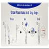SURE CHECK HIV Test  Home Test Kit 99.9% accurate, result in minutes  CE Marked view 2