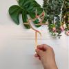 10pcs of Acrylic Religious Cake Topper - Dove and Cross,Holy Spirit Topper, Confirmation Topper (Rose Gold Mirror) view 3