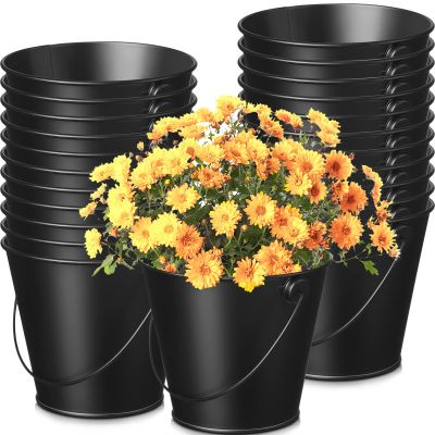 24 Packs Metal Buckets with Handle Small Iron Pail Metal Buckets for Party Black Bucket for Small Plant Candy Bars Crafts Vase Favor Mini Toy Container School Storage and Party Supplies 4.1 x 4.7 Inch