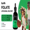 Liposomal Liquid folate (as 5-MTHF, The Active Form of folic Acid.) Advanced Nutrient delivery System, Made in The UK by lipolife. 60ml = 60 Servings. 500mcg of folate per 1ml. LLF1 view 2