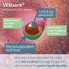 Igennus Advanced VESIsorb Ubiquinol 100mg 90 Softgels, 600% Bioavailability, Fast-Acting Water-Soluble Coenzyme Q10 Supplement for Energy & Heart, 3-Months Supply view 3