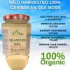 Organic Seamoss Gel 324ml 100% Wildcrafted Seamoss | Vegan | Made to Order to keep it fresh | Shipped from The UK (Gold) view 4
