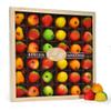 Bergen Marzipan 36 Piece Assorted Fruit Box Tray view 1