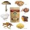 Premium 7 Mushroom Mix Capsules x 90 Organic/Vegan Lions Mane, Chaga and More view 3