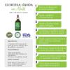 Liquid Chlorophyll with Mint Flavor 60ml :: ALKALINE CARE view 2