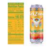 AriZona Mucho Mango Juice Cocktail - Big Can, 22 Fl Oz (Pack of 24) view 2