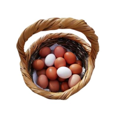 Organic Free-Range Eggs 24 Pack  Fresh Large British Eggs  Naturally Rich in Protein & Omega-3  Farm Fresh Quality from Certified Organic Hens