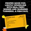 Hip Pop Soda, Ginger & Turmeric, Low Calorie, 100% Natural, Vegan, Branding of Cans May Vary, 24 x 330 ml view 2