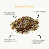 Loose Leaf Gift Set, Heat Resistant Teapot, Tea Measuring Spoon, 100g Loose Leaf Tea, Camellios (Tropical Rooibos) view 2