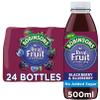 Robinsons RTD Blackberry & Blueberry - 500ml, 24 Pack view 1
