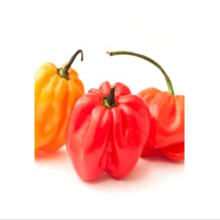 Hot Chilli Pepper 1kg