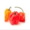 Hot Chilli Pepper 1kg view 1