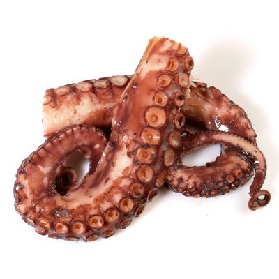 Cooked Octopus Tentacles 1.5kg