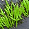 Kenya Chilli Green 2.5kg view 2