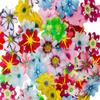 120pcs Edible Flowers Daisy Cake Toppers for Happy Birthday Wedding Edible Wafer Paper Rice Paper 1.6 Cupcake Topper Decoration Mix 10 Colurs Baby Shower Wedding view 3