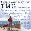 Life Extension, TMG, 500mg, 60 Liquid Vegan Capsules, Lab Tested, Gluten Free, SOYA Free, Vegetarian view 4
