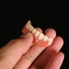 2 Pcs Quick Dentures Teeth Perfect Smiling Veneer Cosmetic Teeth for Lower and Upper jaw Denture Smile Veneer, Quickly Make You Own Perfect Smiling view 2