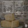 GN Ltd Liquid Animal Rennet, Cheese Making, Milk Curd Forming, Liquid Rennet, Animal Rennet for Cheese Making, Home Cheese Making, Cheese Making Ingredient - 5L view 3