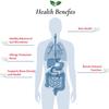 Foods For Gut Lactobacillus Helveticus Probiotic Powder 100 Billion cfu's | No Additives | Digestive & Immune Support | High Potency | L. Helveticus | 60 Grams (2.11 Oz) view 4