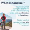 Life Extension, Taurine, 1000mg, High Dose, 90 Vegan Capsules, Laboratory Tested, Gluten Free, Vegetarian, SOYA Free, GMO Free view 4