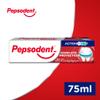 Pepsodent Cavity Protection with Fluoride and Calcium Toothpaste for All-Day Cavity Defence 75 ml view 3