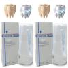 30ml Calculusfree Dissolving Dental Spray,Dental Calculus Remover Teeth Cleaner,Mouth Refreshing Spray,Plaque Remover for Teeth Mouthwash,Intensive Stain Removal Toothpaste (2pcs) view 1