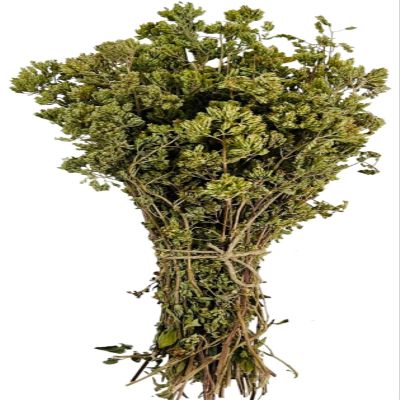 Certified Organic Greek Dried Mountain Oregano Bunch 85g - 1.95kg Origanum Vulgare (220 grams)