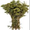 Certified Organic Greek Dried Mountain Oregano Bunch 85g - 1.95kg Origanum Vulgare (85 grams) view 1