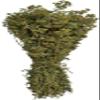 Certified Organic Greek Dried Mountain Oregano Bunch 85g - 1.95kg Origanum Vulgare (85 grams) view 2