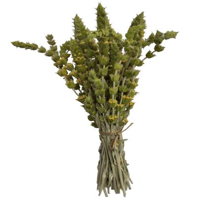 Certified Organic Greek Mountain Tea Sideritis Raeseri 85g - 1,95kg Premium Quality (1950 grams)